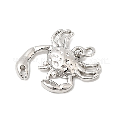 Messing Anhänger & Charms&nbsp;KK-P343-04P
