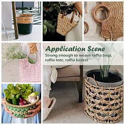 Ruban de raphia&nbsp;SENE-PW0003-104I