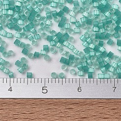 Miyuki Delica Perlen&nbsp;X-SEED-J020-DB1812