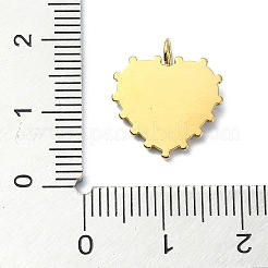 Pendentifs en acier inoxydable 304 avec placage ionique (IP)&nbsp;STAS-B058-31C