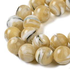 Natürliche Trochusmuschelperlenstränge&nbsp;BSHE-P033-03C