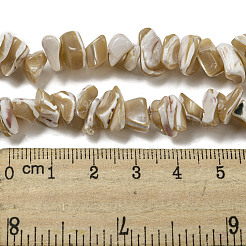 Fili di perline di conchiglia trochus naturale&nbsp;SSHEL-H072-09