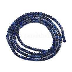 Chapelets de perles en lapis-lazuli naturel&nbsp;G-L628-A01-2mm-02