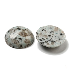 Natürliche Sesam-Jaspis-Cabochons&nbsp;G-C115-02B-08