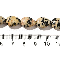 Dalmata naturale perline di diaspro fili&nbsp;G-I377-A15