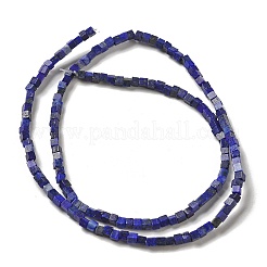 Fili di perline tinti di lapislazzuli naturali&nbsp;G-B064-A20
