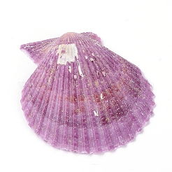 Naturschalen-Displaydekorationen&nbsp;DJEW-WH0032-37