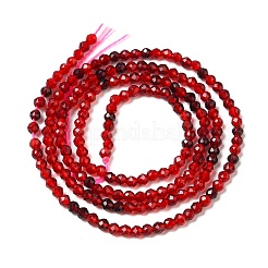 Chapelets de perles en verre transparente  &nbsp;X-GLAA-H027-01C