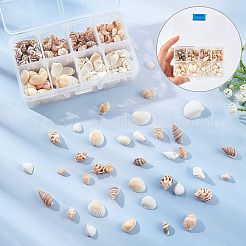 Natürliche Muschelperlen&nbsp;SSHEL-FH0001-05