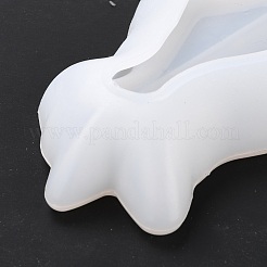 DIY Dish Silikonformen&nbsp;DIY-P055-01