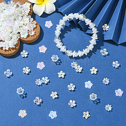 300 pièce 6 styles de perles d'imitation en plastique ABS et de capuchons de perles en acrylique&nbsp;OACR-SC0002-35