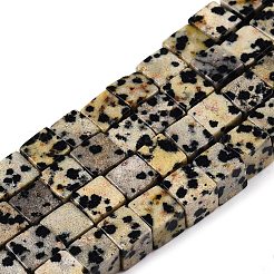 Natur Dalmatiner Jaspis Perlen Stränge&nbsp;G-T139-6x6-17A
