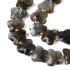 Chapelets de perles en labradorite naturelle &nbsp;G-N371-10A-01