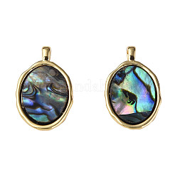 Colgantes de concha de abulón sintético/concha de paua&nbsp;X-KK-N233-254