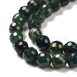 Chapelets de perles en agate mousse naturelle&nbsp;G-E571-21A