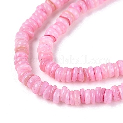 Eau douce naturelle de coquillage perles brins&nbsp;SHEL-Q028-01E