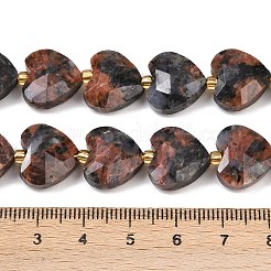 Natürliche Glaukophanperlenstränge&nbsp;G-P592-B03-01