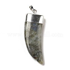 Natur Labradorit Anhänger&nbsp;G-P474-04S-03