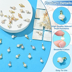 Pendenti di perle d'acqua dolce coltivate naturali 30 pz 2 colori&nbsp;PALLOY-YW00232