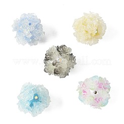 10 Stück 10 Farben Harzperlen&nbsp;RESI-FS0002-24A