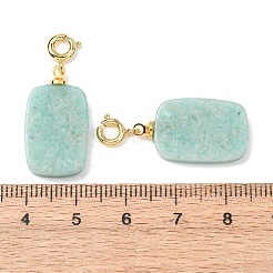 Pendentifs décoratifs en amazonite naturelle&nbsp;G-G461-01G-08