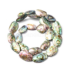 Paua naturale perline shell fili&nbsp;SHEL-F006-03
