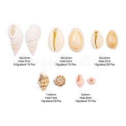 4 Stil natürliche Kauri-&nbsp;BSHE-FS0001-03