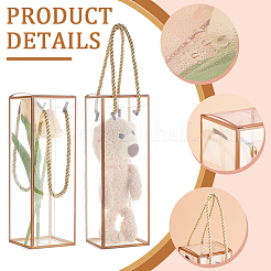 Transparente Geschenk-Trageboxen aus Haustierplastik&nbsp;CON-WH0085-61C-01