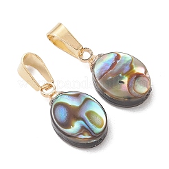 Abalone Muschel / Paua Muschel Anhänger&nbsp;PALLOY-JF05265