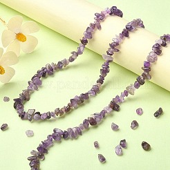 Natürlichen Amethyst Chip-Perlen-Stränge&nbsp;G-YW0002-09
