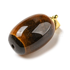 Pendentifs en œil de tigre naturel&nbsp;LS-G-D094-05A-G