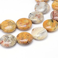Fili di perline rotonde piatte di agata di pizzo naturale pazzesco&nbsp;G-M206-16