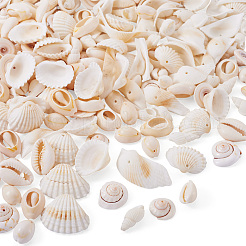 Kit fai da te per la creazione di gioielli con conchiglie naturali&nbsp;DIY-BT0001-37