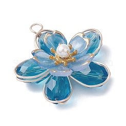 Pendentifs en verre&nbsp;PALLOY-TA00319-03