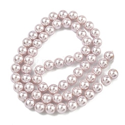 Fili di perle di conchiglie galvanizzate&nbsp;BSHE-G041-6mm-06
