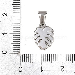 Anhänger aus Edelstahl 303&nbsp;STAS-K325-22C-P