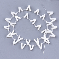 Perles de coquille d'eau douce&nbsp;X-SHEL-T012-59V