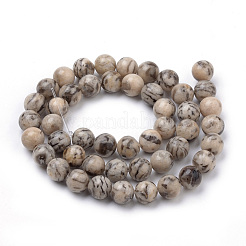 Chapelets de perles de feldspath naturel&nbsp;X-G-S259-26-10mm