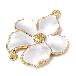 Pendentifs en acier inoxydable 304 émaillés&nbsp;SA-CBAFCBF-06G-03