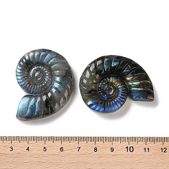 Natur Labradorit Cabochons&nbsp;G-I368-A03