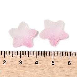 Cabujones de resina de imitación de comida dulce&nbsp;X1-RESI-R461-02K