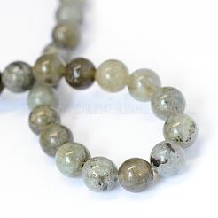 Labradorite naturale fili di perline rotondo&nbsp;G-E334-10mm-19