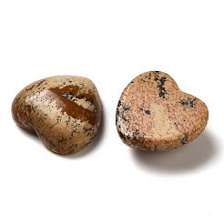 Natur Bildjaspisses cabochons&nbsp;G-F776-02A-17