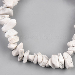 Unisex Chip natürliche Howlite Perlen Stretch Armbänder&nbsp;BJEW-S143-27