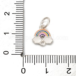 925 breloque en argent sterling émaillé coloré&nbsp;STER-C014-02B-S