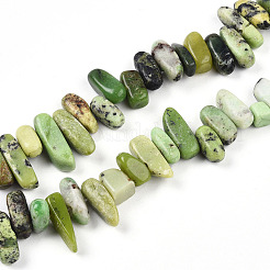 Natur Serpentin Perlen Stränge&nbsp;G-T140-62