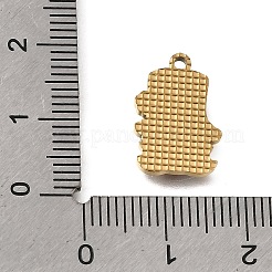 Pendentifs en acier inoxydable 304 émaillés&nbsp;SA-CBAA2E4-15G