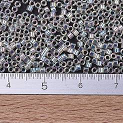 Miyuki Delica Perlen&nbsp;SEED-J020-DB0109