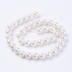 Abalorios de concha abalorios hebras&nbsp;LS-BSHE-L035-8mm-I13
