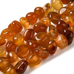 Filo di perline di agata naturale, tinti e riscaldato, pepite, pietra burrattata, arancione scuro, 6.5~13x10~13x1.5~11mm, Foro: 1.6 mm, circa 22pcs/filo, 7.20~7.72'' (18.3~19.6 cm)